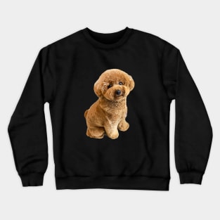 Toy Poodle Mini Dog Teddy Crewneck Sweatshirt